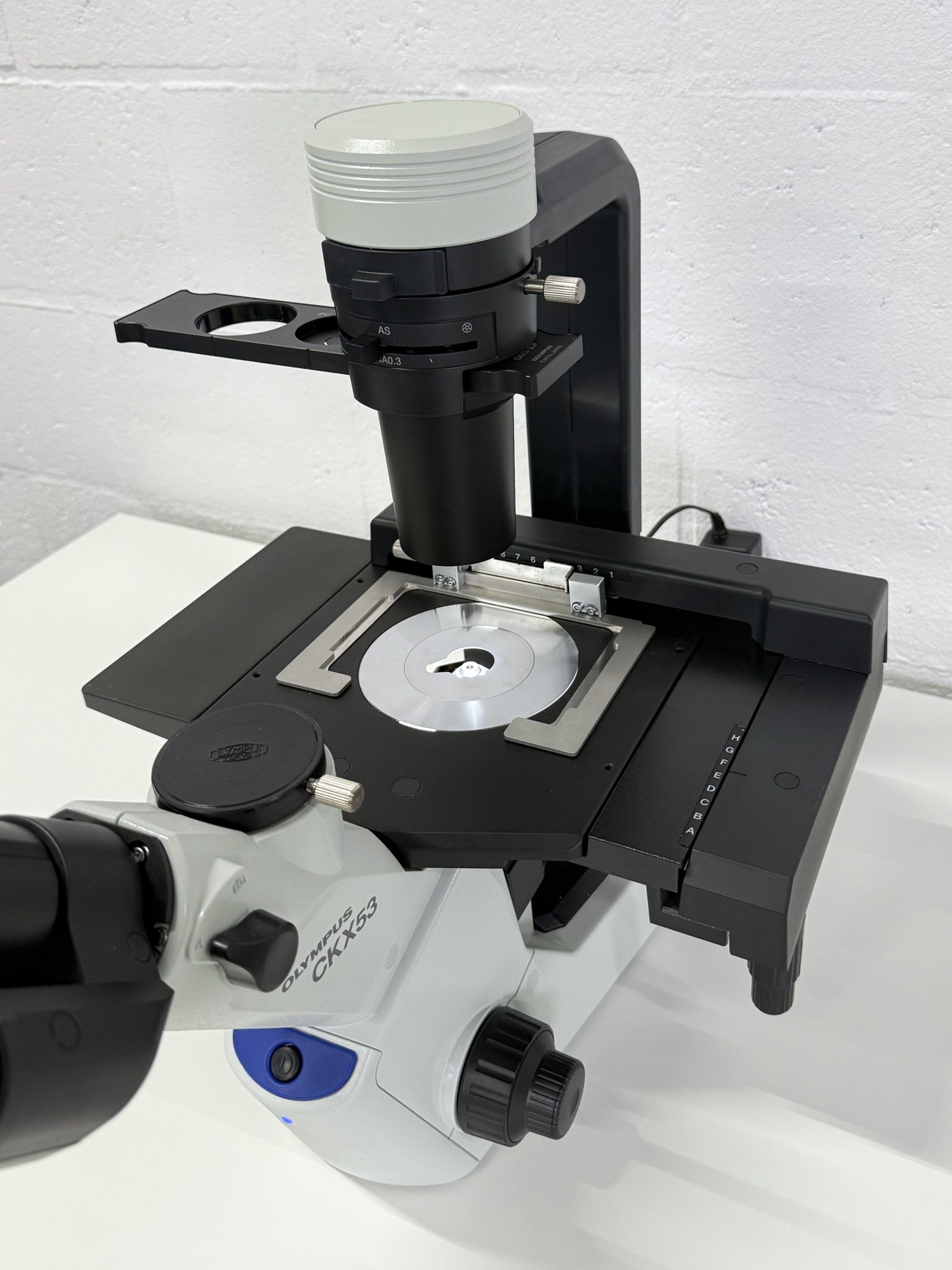 Olympus CKX53SF Inverted Microscope (iPC Phase Contrast), image 4