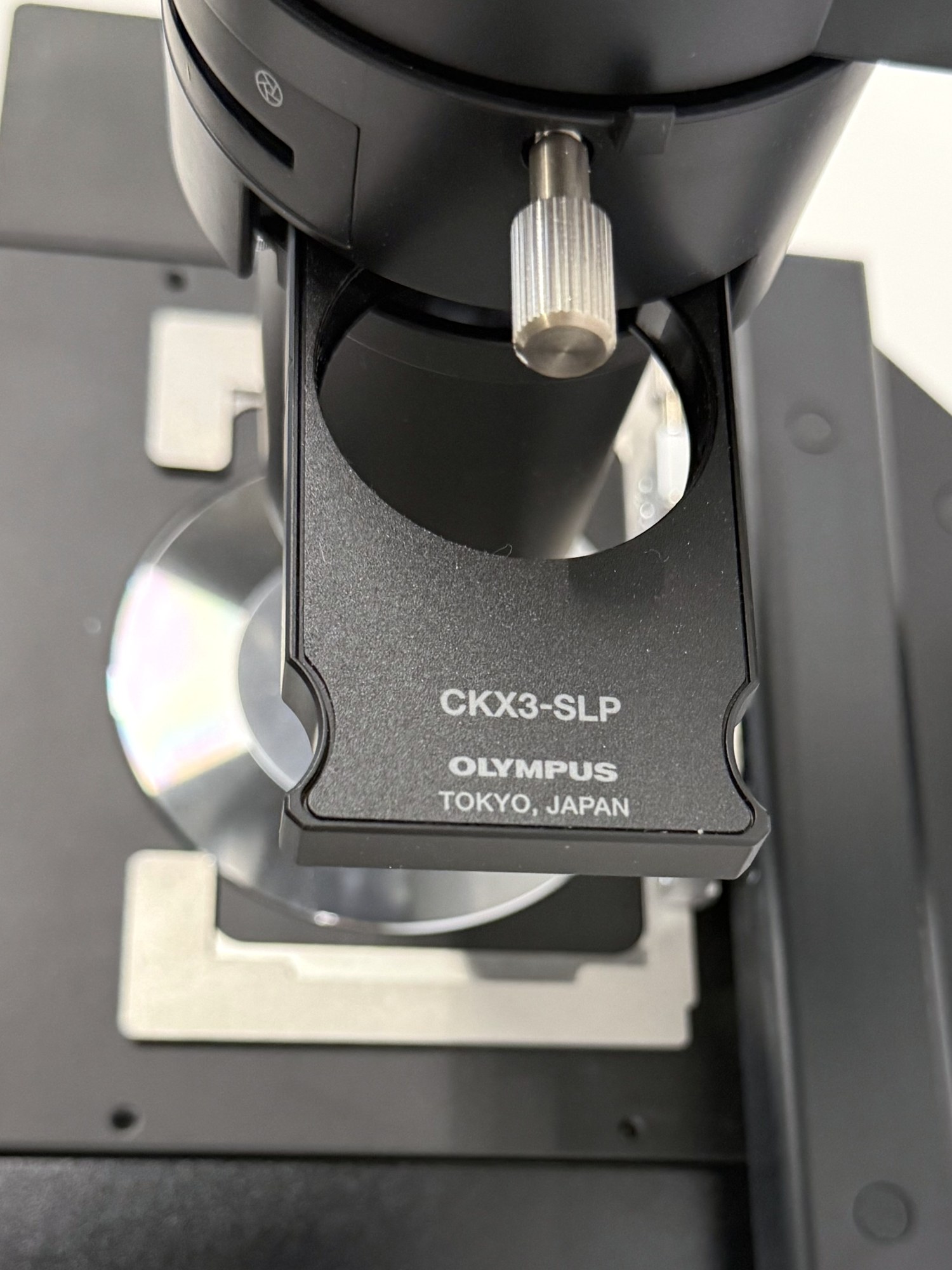 Olympus CKX53SF Inverted Microscope (iPC Phase Contrast), image 5