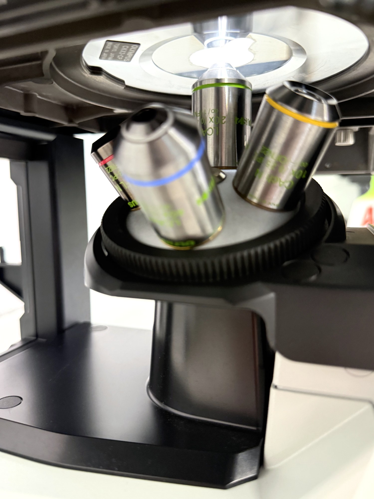 Olympus CKX53SF Inverted Microscope (iPC Phase Contrast), image 6
