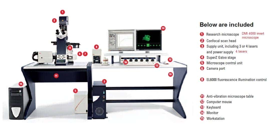 Leica TCS SPE Confocal Microscope System