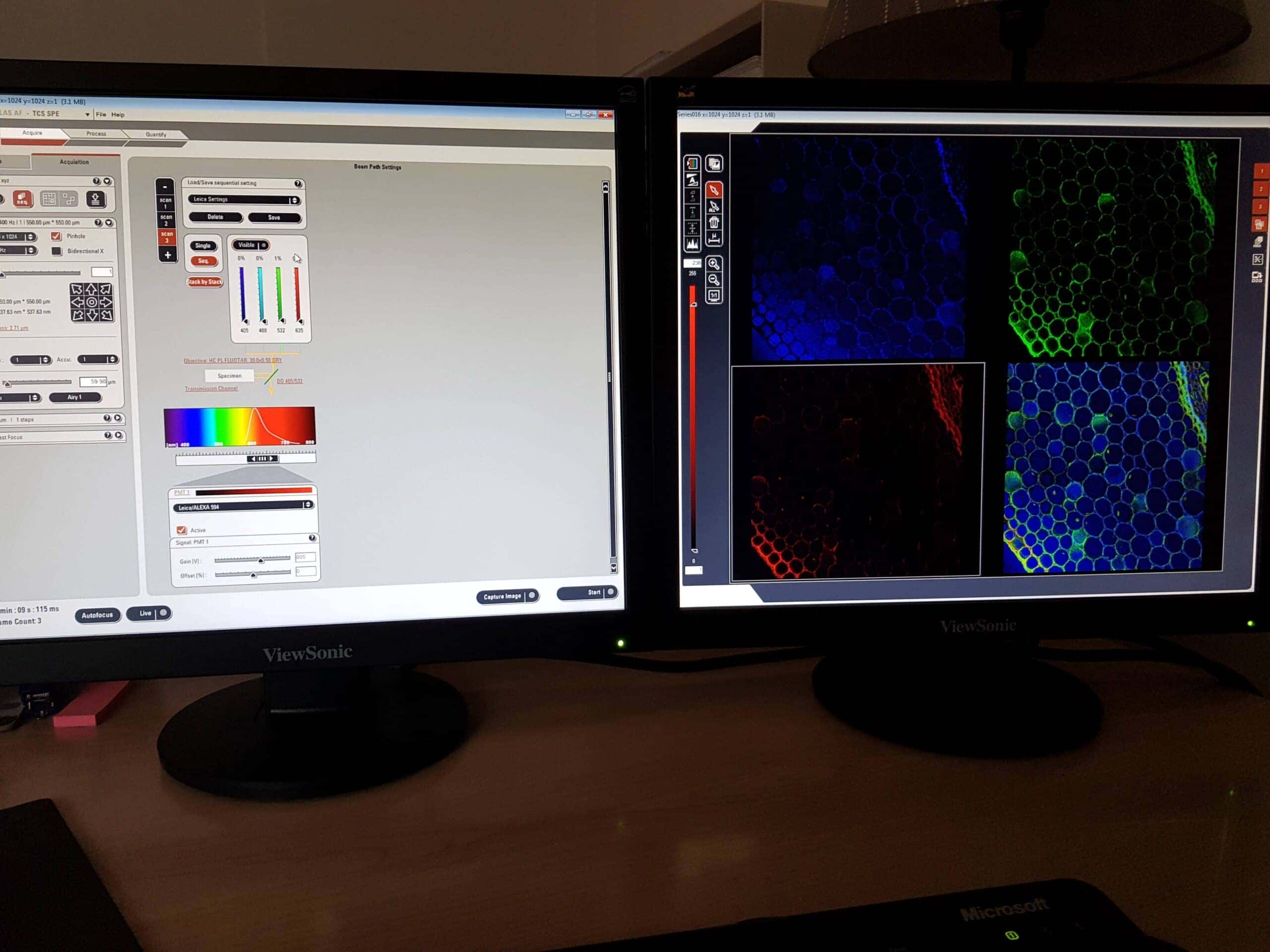 Leica TCS SPE Confocal Microscope System, image 2