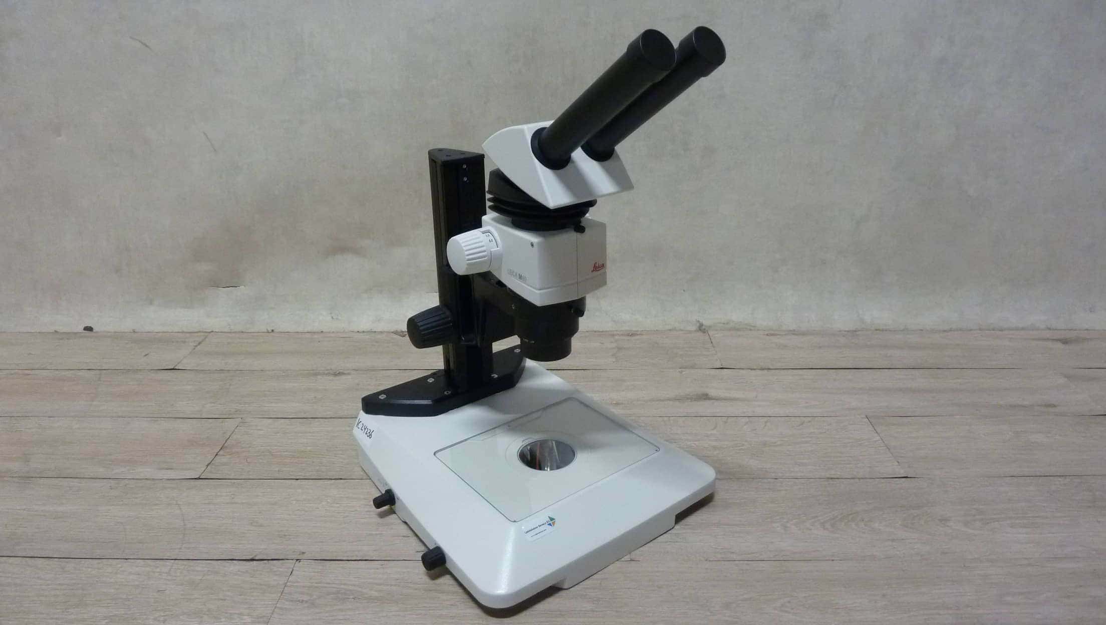 Leica M80 TL 3000 Ergo Stereo Microscope, image 2