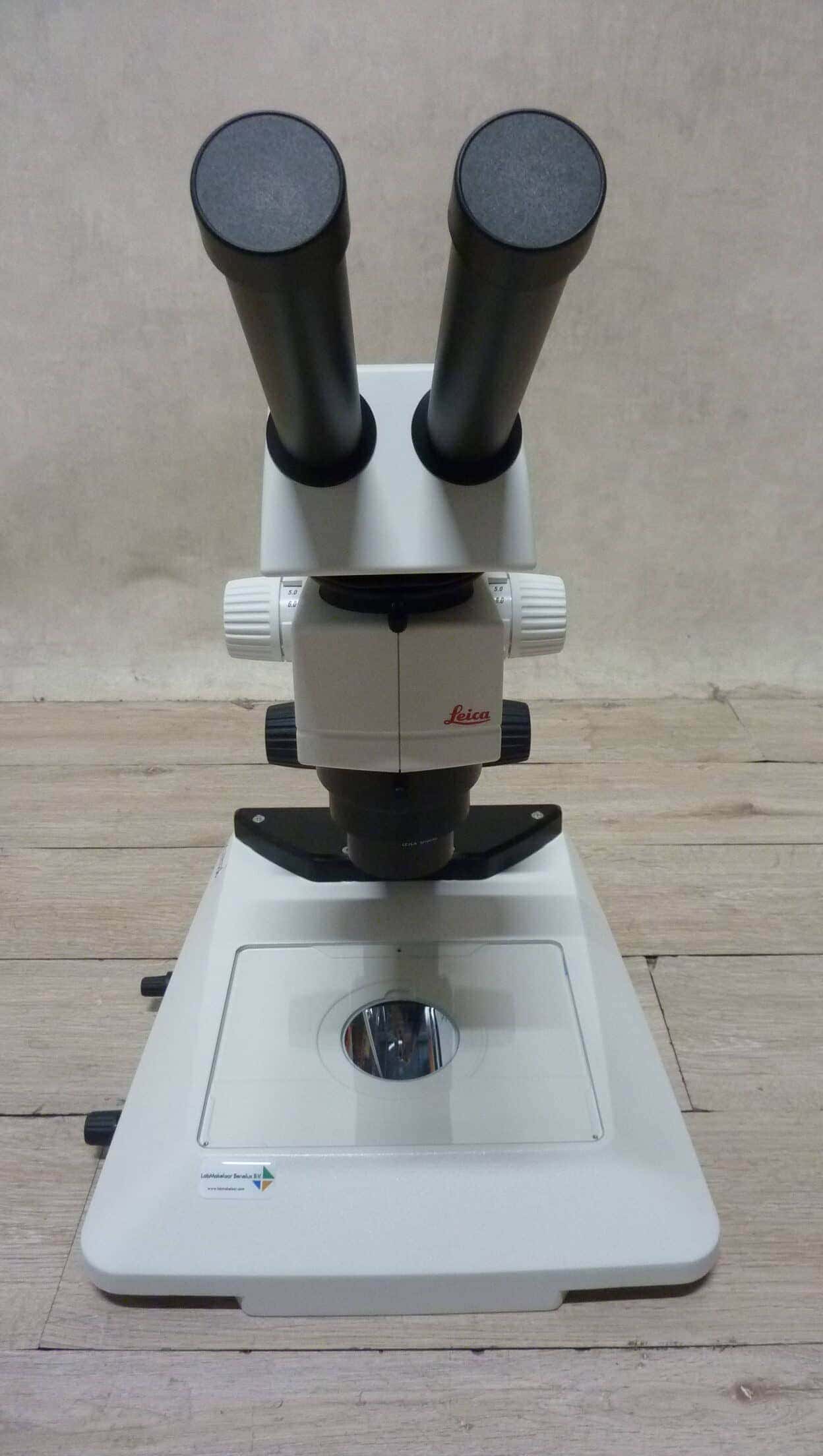 Leica M80 TL 3000 Ergo Stereo Microscope, image 3