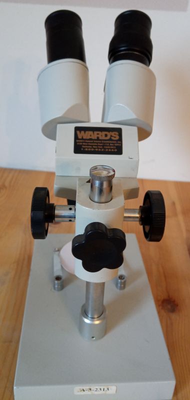 Ward's Stereo Microscope, image 2