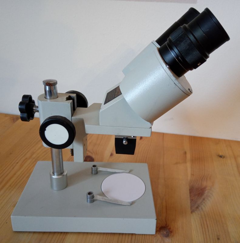 Ward's Stereo Microscope, image 3