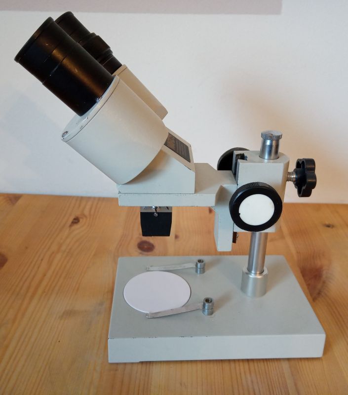 Ward's Stereo Microscope, image 4