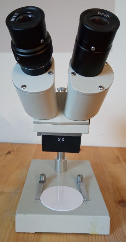 Ward's Stereo Microscope, image 5