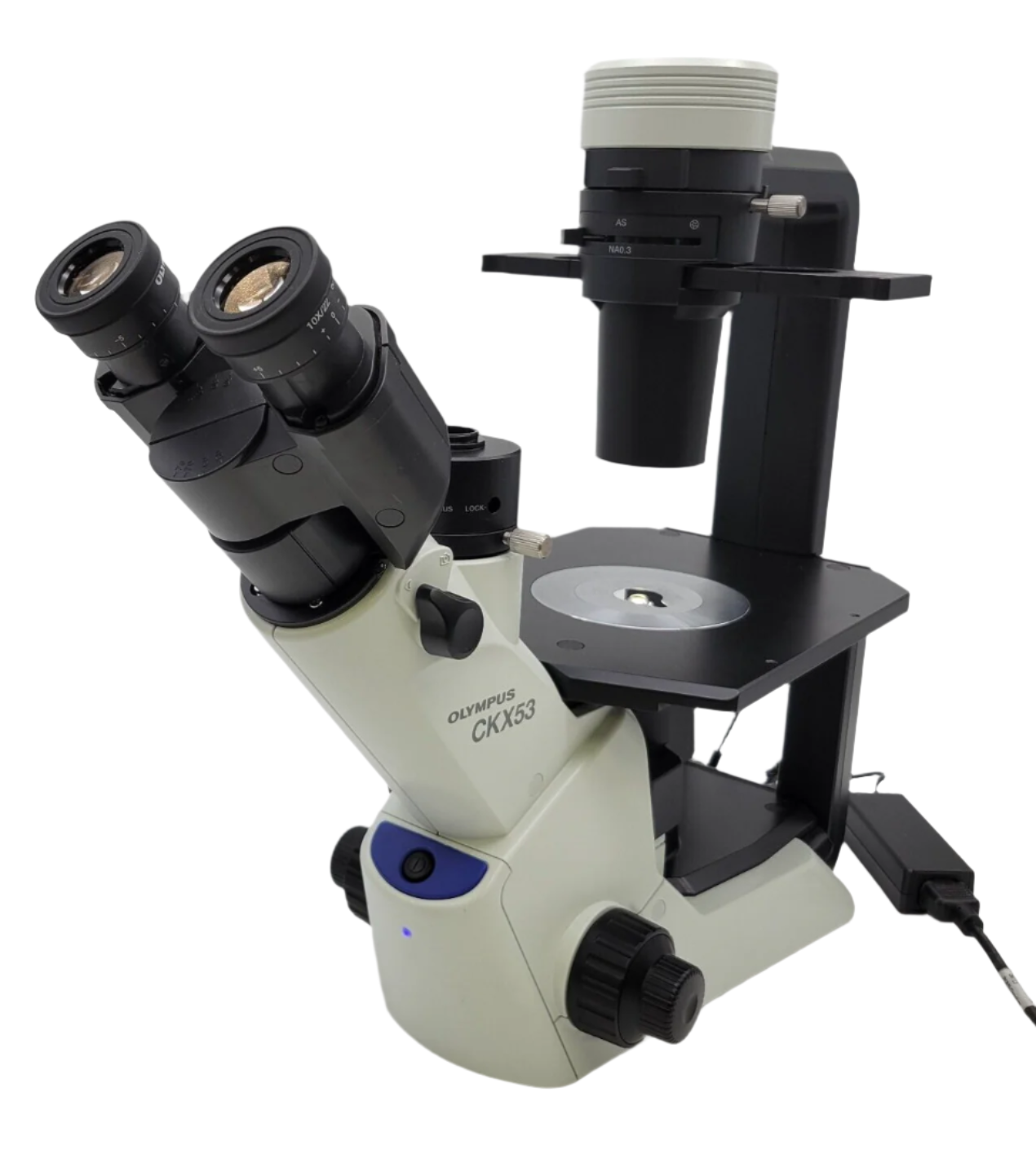 Olympus CKX53 Inverted Microscope (Phase Contrast)