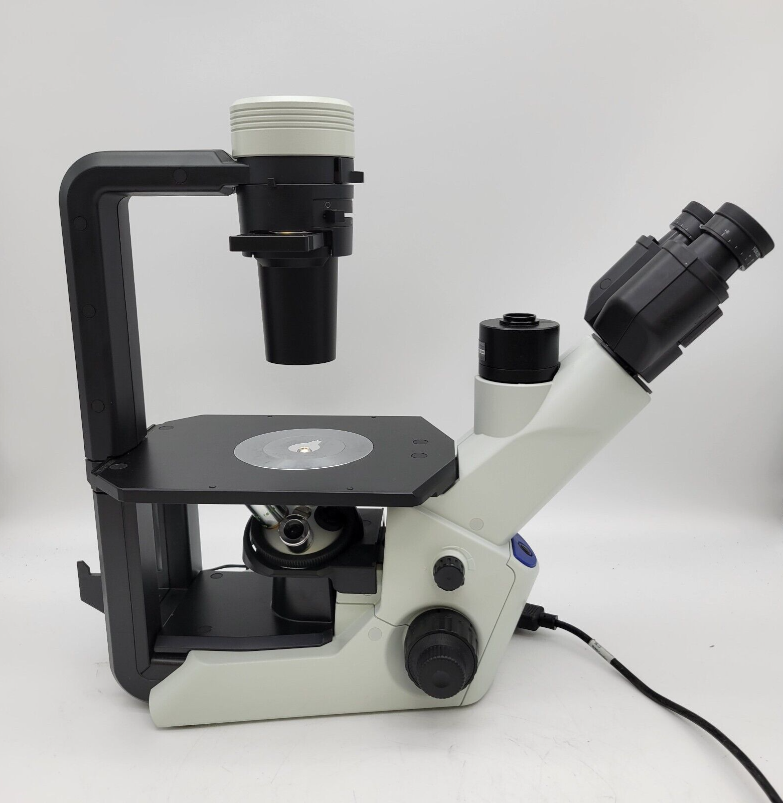 Olympus CKX53 Inverted Microscope (Phase Contrast), image 2