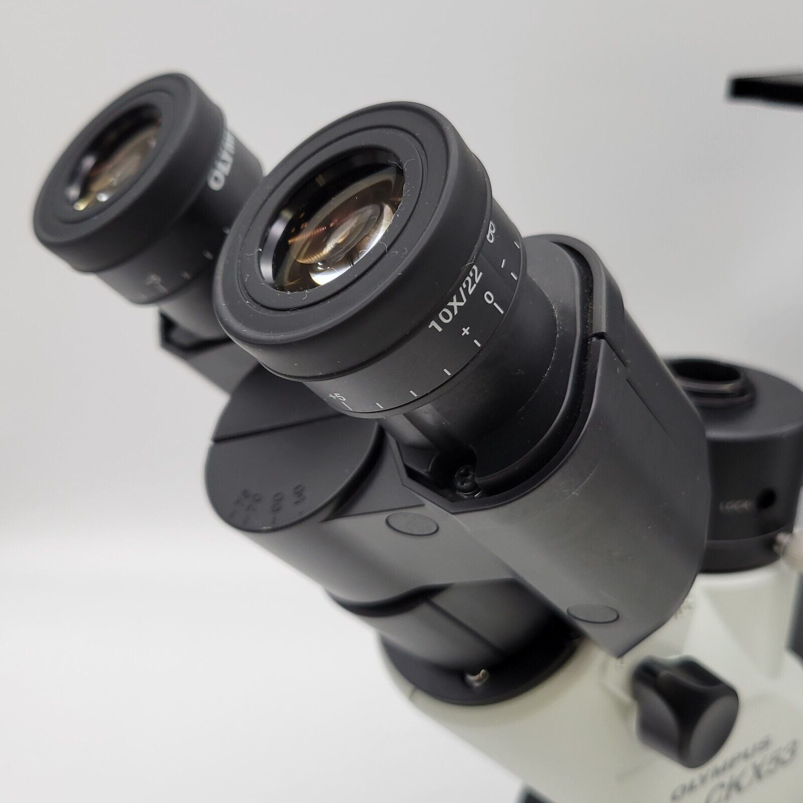 Olympus CKX53 Inverted Microscope (Phase Contrast), image 5