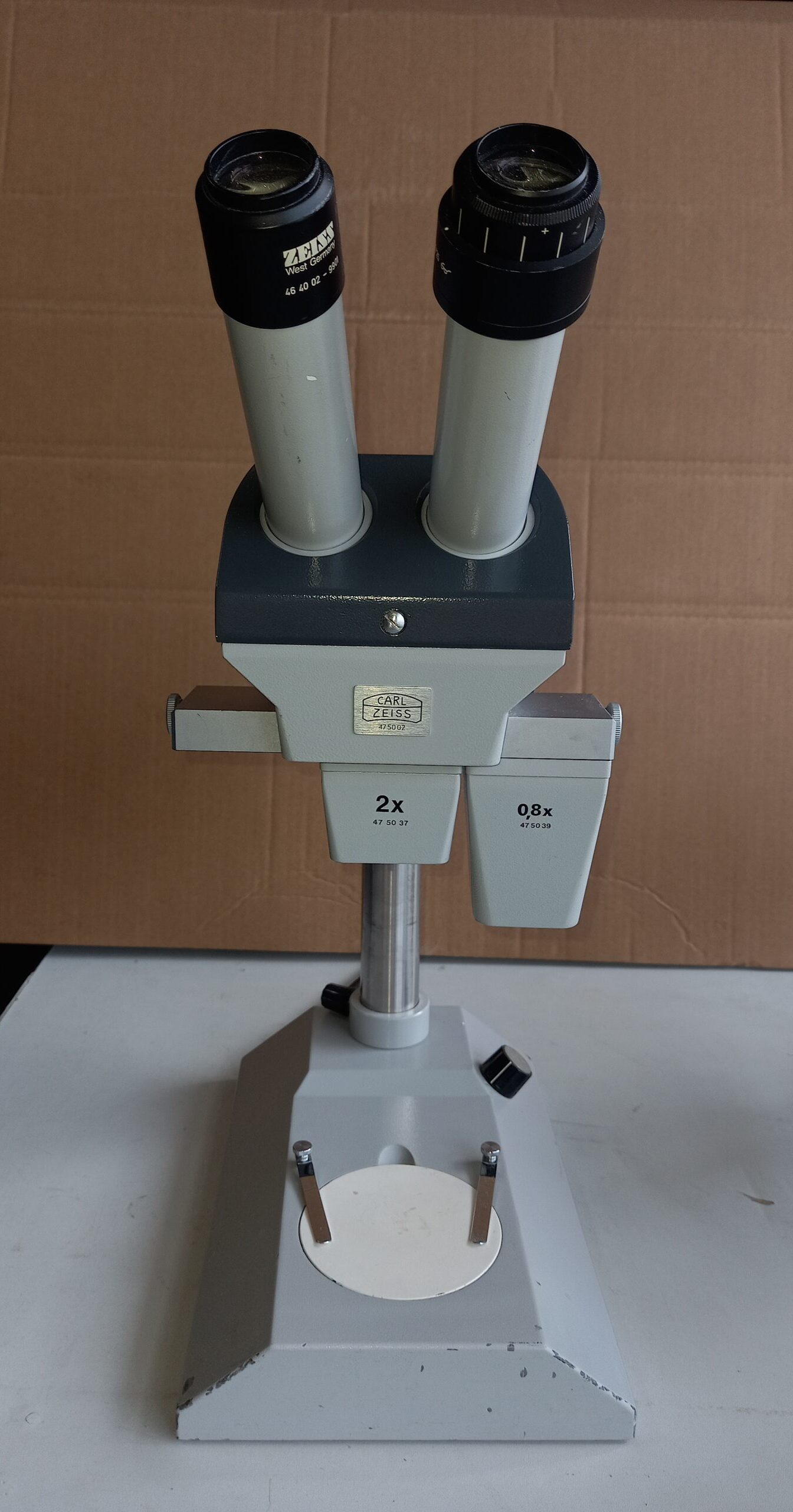 Zeiss Stereo Microscope