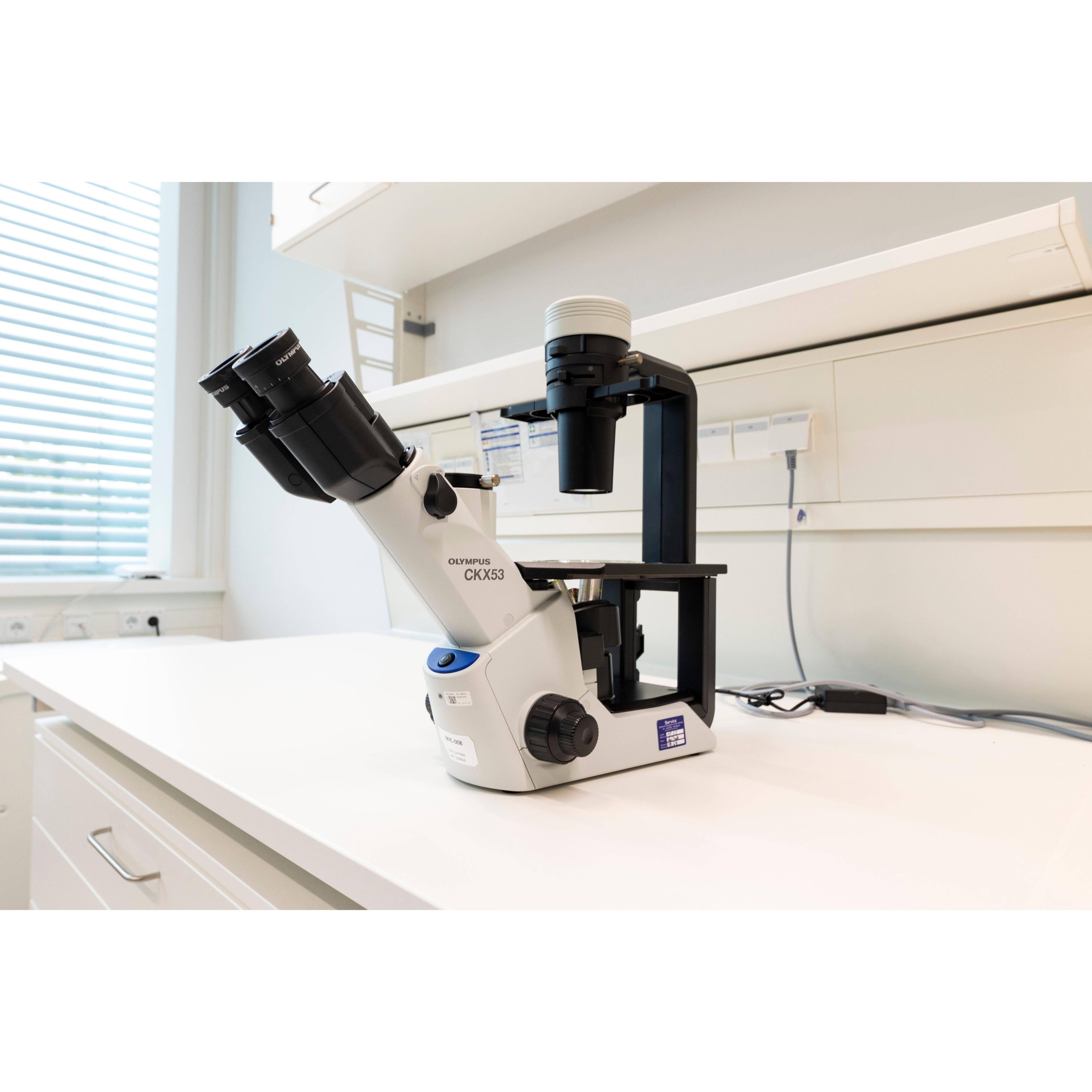 Olympus CKX53 Inverted Microscope