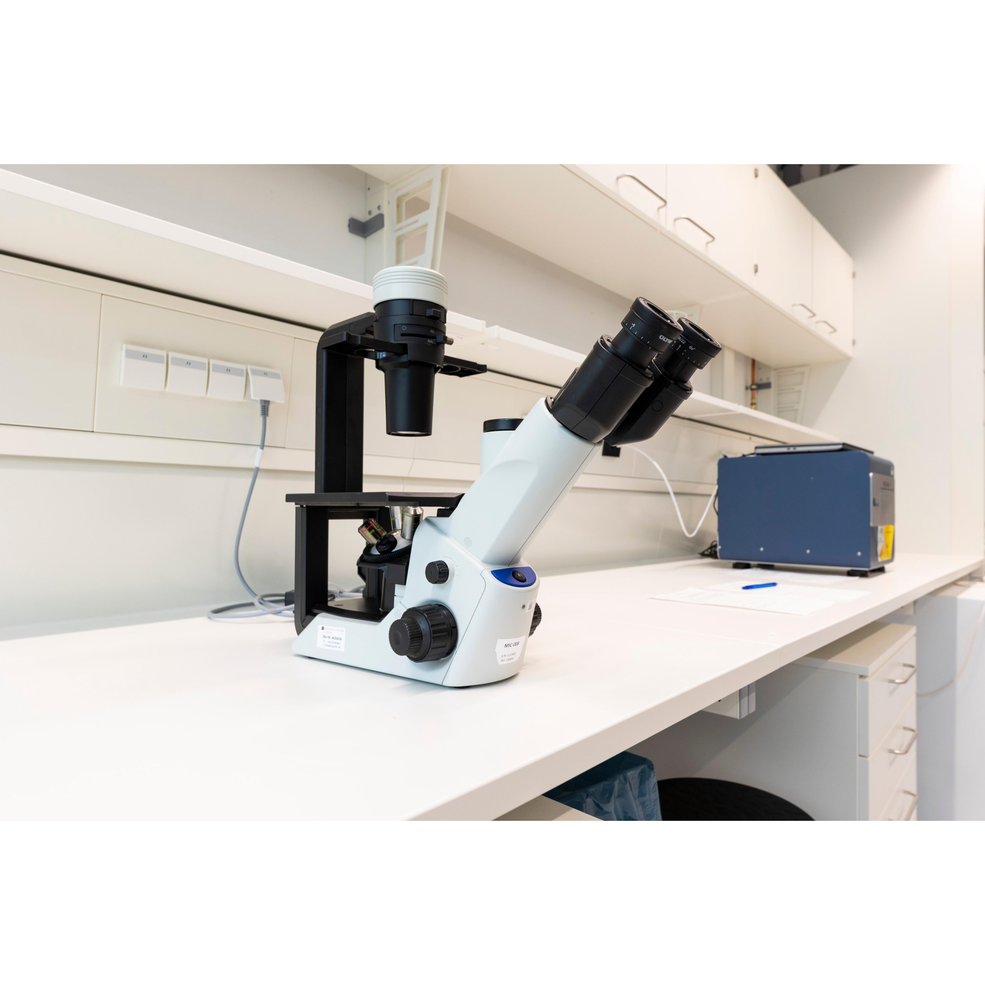 Olympus CKX53 Inverted Microscope, image 2