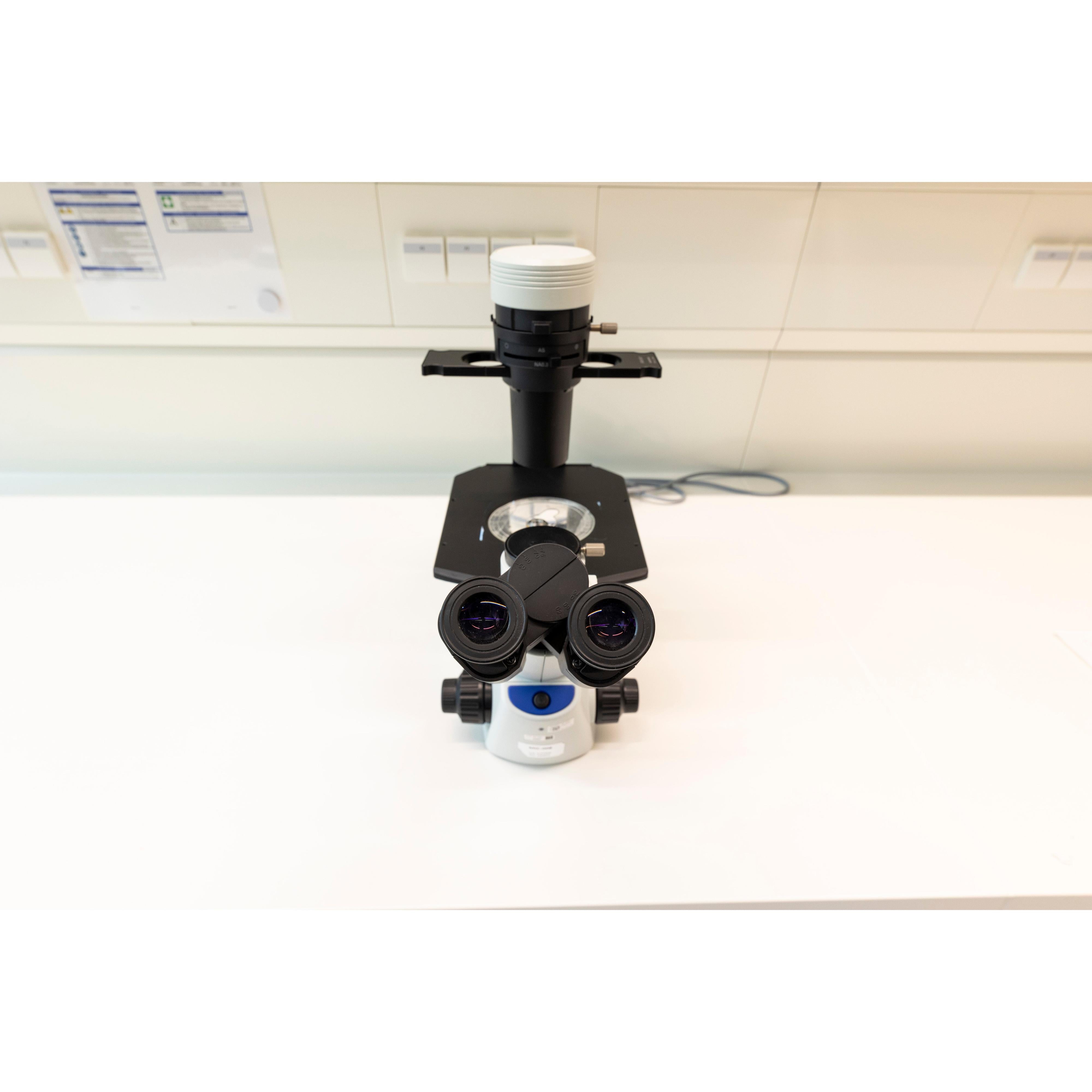 Olympus CKX53 Inverted Microscope, image 3